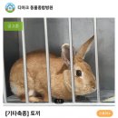 관악동물종합병원 이미지