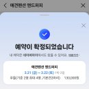 퍼피타임 | 양평 애견펜션 가성비 서울 근교 애견운동장 애견 동반 펜션 앤드퍼피 후기