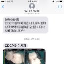 씨디씨어린이치과의원 이미지