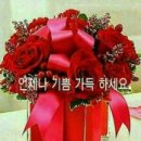 꽃한송이