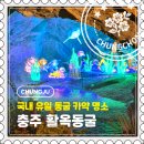 사전11-5 안길 | [충주] 한여름에도 11도! 국내 유일 동굴 카약 여름 피서지, 활옥동굴