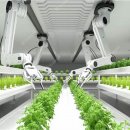 이송농장 이미지