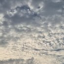 여양목장 이미지