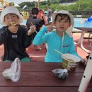 260807 금값‘100만원→71만원’… 한국은행 13년 만에 금 매입 이미지