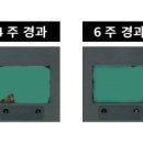 무림통상