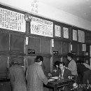 동대문구청 Daum카페