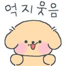 카페유림 이미지