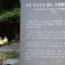 영광 법성진성 이미지