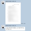 8살 말티즈 강아지 건강검진 후기 : 창동역 포레스트 동물병원 추천