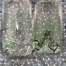 새우정약국 이미지