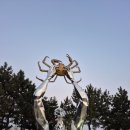 경북 영덕 가볼만한곳, 풍력발전단지 해맞이공원 창포말등대 뚜벅이 여행