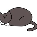 깍쟁이 미용실 이미지