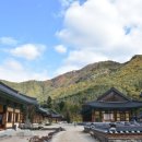 운문사