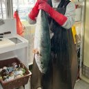 도시속바다 이미지