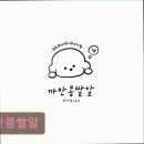 까만콩쌀알 | 대구 반려동물비용 애견미용 강아지 고양이 까만콩쌀알 반려동물 맞춤 케어 전문점