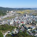 벌교센터-2 이미지