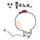 쪼당 네이버블로그