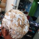 퀸헤어샵 이미지