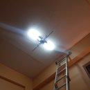 대성전기조명 이미지