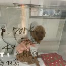 메이 동물병원 이미지