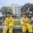 용인대 청명 태권도 이미지