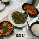 밥도둑'S | 서울/을지로입구역 맛집 초류향 중식당 광화문 회식장소 밥도둑세트메뉴 후기