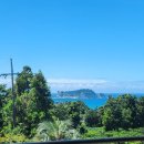 아누캄파(ANUKAMPA) 이미지