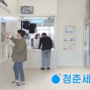 신용세탁 이미지