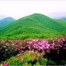 정선군 도사곡샘터 이미지