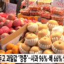 정오농수산 이미지