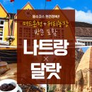 완전농장 티스토리