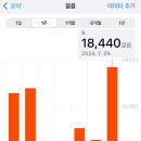 911방역 - 서귀포시 | 뉴욕을 여행하는 히치하이커를 위한 안내서 1
