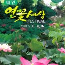 솔향기그린펜션 | 태안 몽산포 펜션 깨끗함이 돋보인 솔향기그린펜션 솔직 이용후기~
