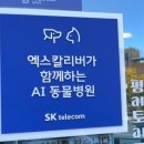 앨리스동물병원 이미지