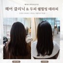 힐링#헤어 | [김해 장유] 헤아름 헤어 클리닉_두피 쉘힐링 테라피 후기
