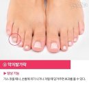 다섯발가락 이미지