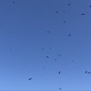 한려식당 이미지