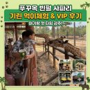 VIP | 36개월 아기랑 푸꾸옥 빈펄사파리 VIP 투어 후기｜예약방법, 비용 총정리