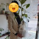 은희네식물