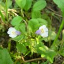 산양초등학교 이미지