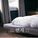 바쁜 직장인들을 위한 하루 5분 Quick 청소법 이미지