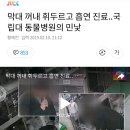 전북대 수의학과 동물의료센터 학대의심 뉴스 봤어? 이미지