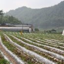 원두막목장 이미지