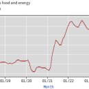 3월 미국 소비자물가 상승률 3.5%로 다시 높아져... 이미지