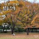 [생태탐방] 만수근린공원 | 가을에 걷기 좋은 숲길 동대문구 홍릉숲 산책기
