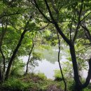 서귀동 천지연 생수궤 이미지