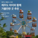 제주 돌고래 이미지