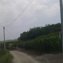 근촌도요 Daum카페