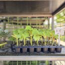 계양농약사 이미지