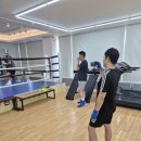 신은철복싱월드 | 영통복싱 제대로 배우고 싶다면? 신은철복싱월드 영통역점 후기 💪